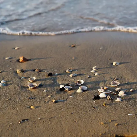 Charming Flat Near The 公寓 比比翁