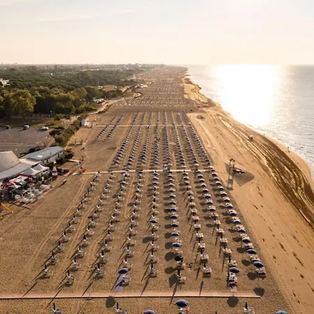 Charming Flat Near The