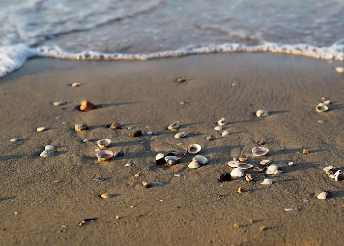 Charming Flat Near The Lejlighed Bibione